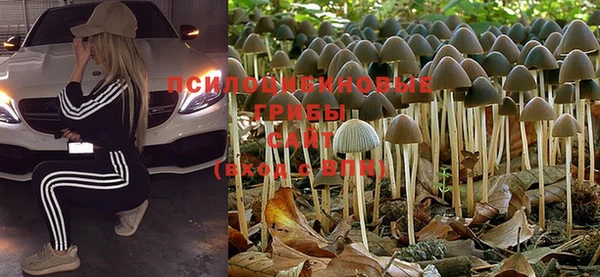 mdma Тосно