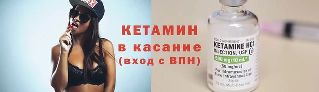 сатива Покачи