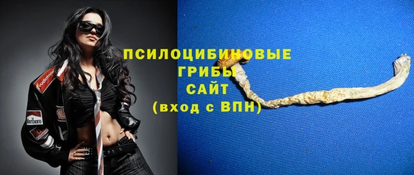 молекула духа Протвино