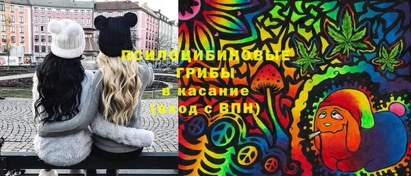 мет Приозерск