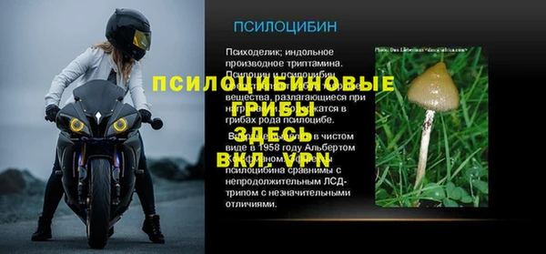 шишки Трёхгорный