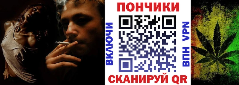 Бошки Шишки ГИДРОПОН  купить наркоту  Тырныауз 